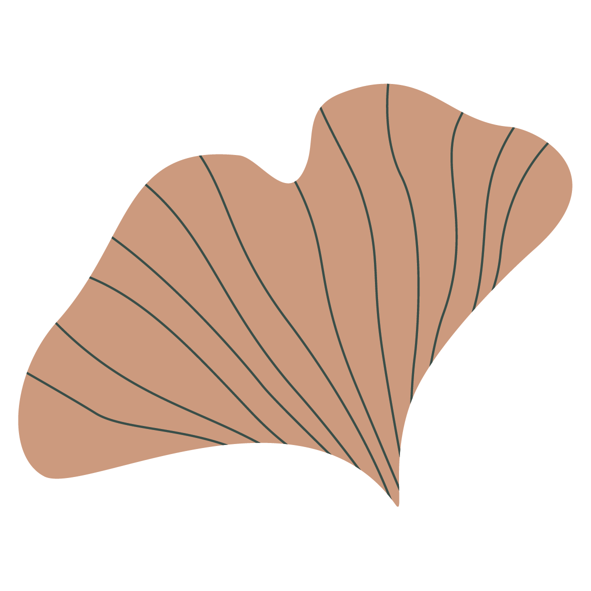 Icon for Clinical Supervision